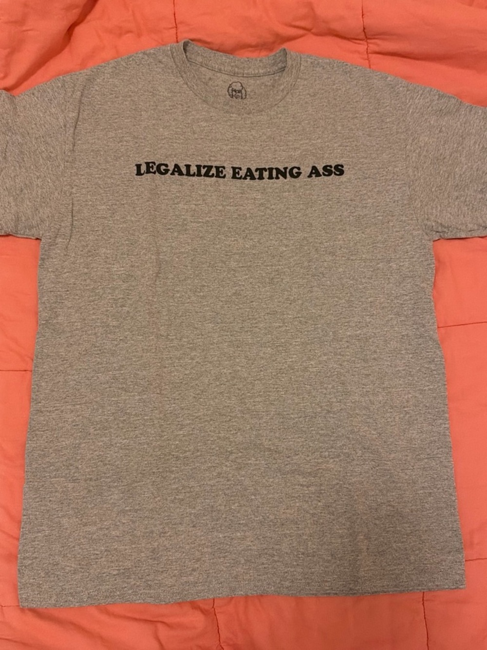 Graphic Gray Short Sleeve Tee with Center Text